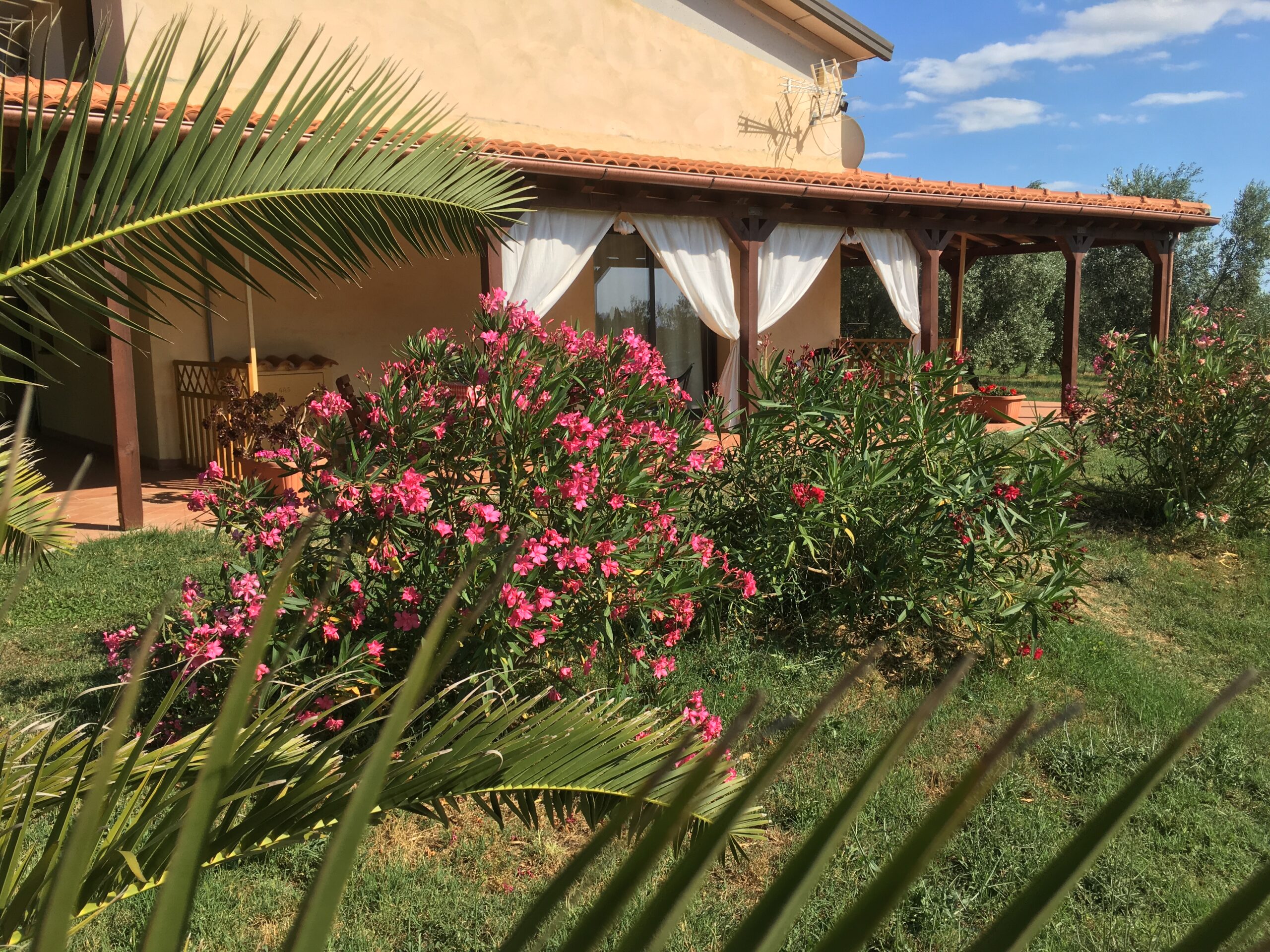 Appartamento Civetta 02 - Giardino esterno