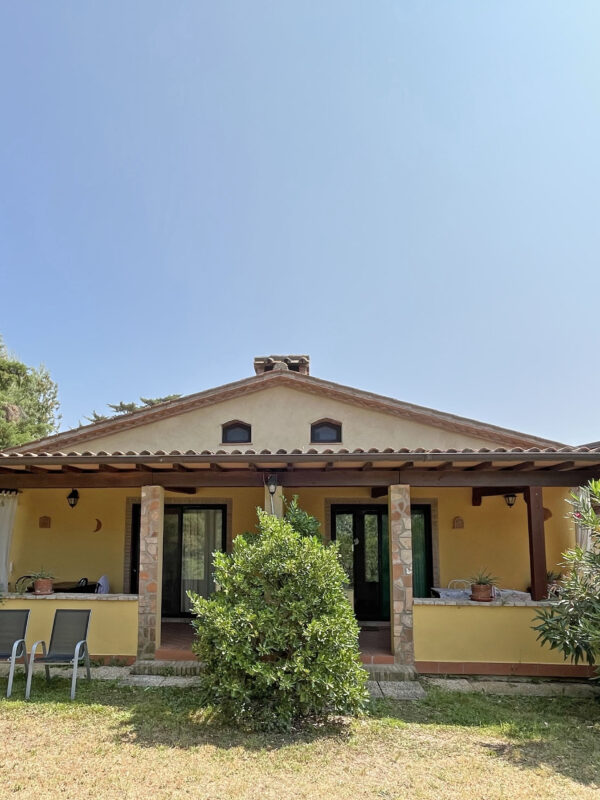 Coppaio frontale copia